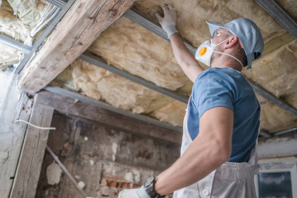 Best Insulation Installation Services in Hobbs, NM